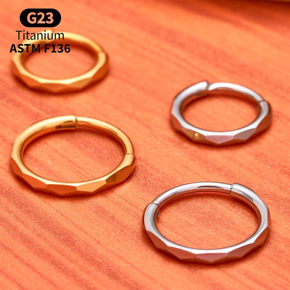 Anello Segmentato a Cerniera i - Conch Earring Hoop recensione e prezzo